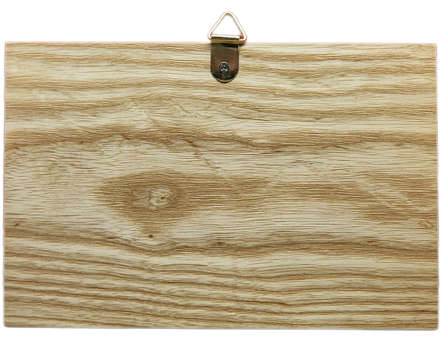 Shine Bright In All Your Colors - Image 2